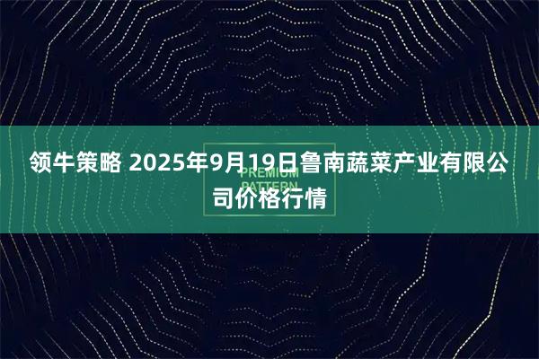 领牛策略 2025年9月19日鲁南蔬菜产业有限公司价格行情