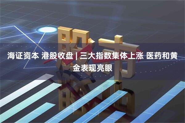 海证资本 港股收盘 | 三大指数集体上涨 医药和黄金表现亮眼