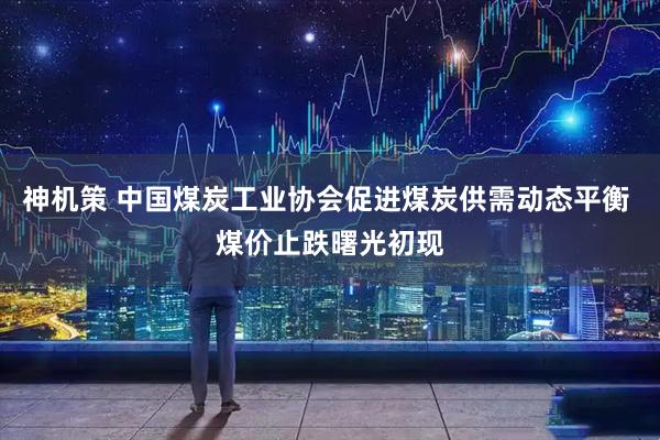 神机策 中国煤炭工业协会促进煤炭供需动态平衡 煤价止跌曙光初现
