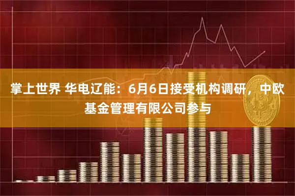 掌上世界 华电辽能：6月6日接受机构调研，中欧基金管理有限公司参与