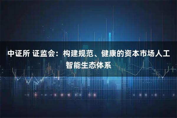 中证所 证监会：构建规范、健康的资本市场人工智能生态体系