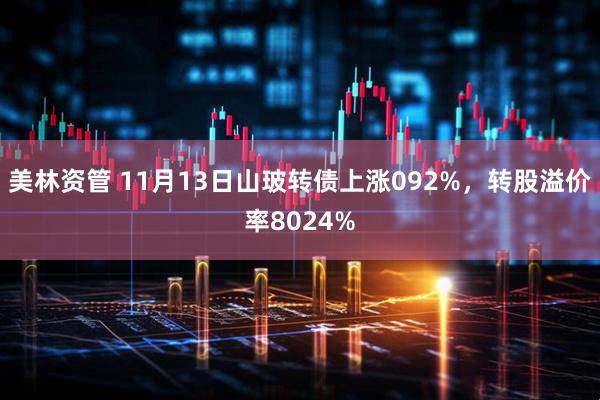 美林资管 11月13日山玻转债上涨092%，转股溢价率8024%